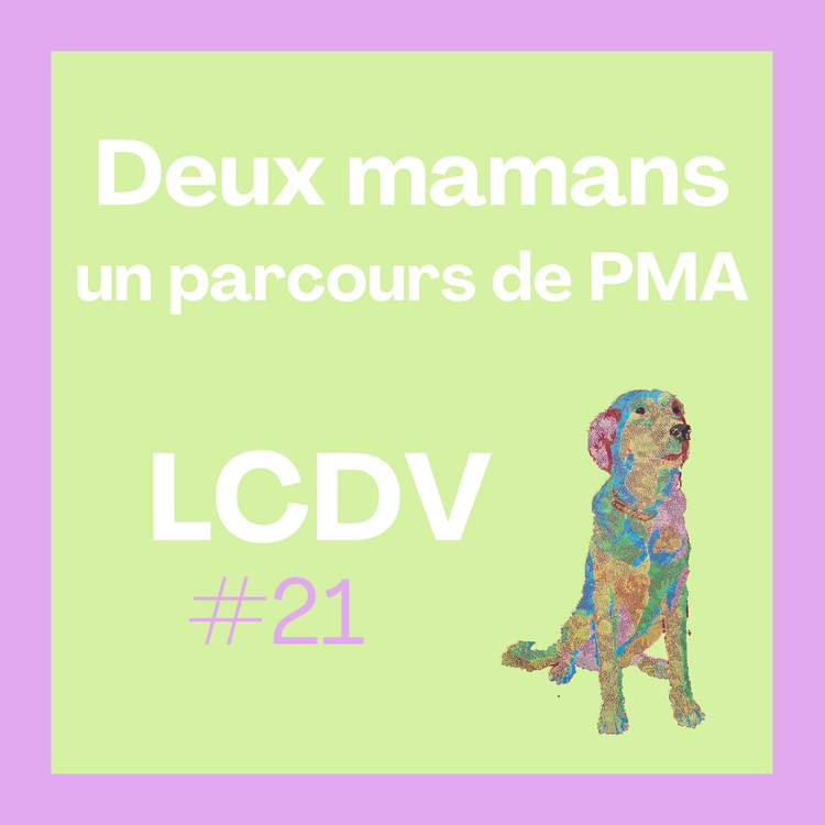 cover art for Deux mamans, un parcours PMA
