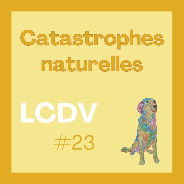 cover art for Catastrophes naturelles