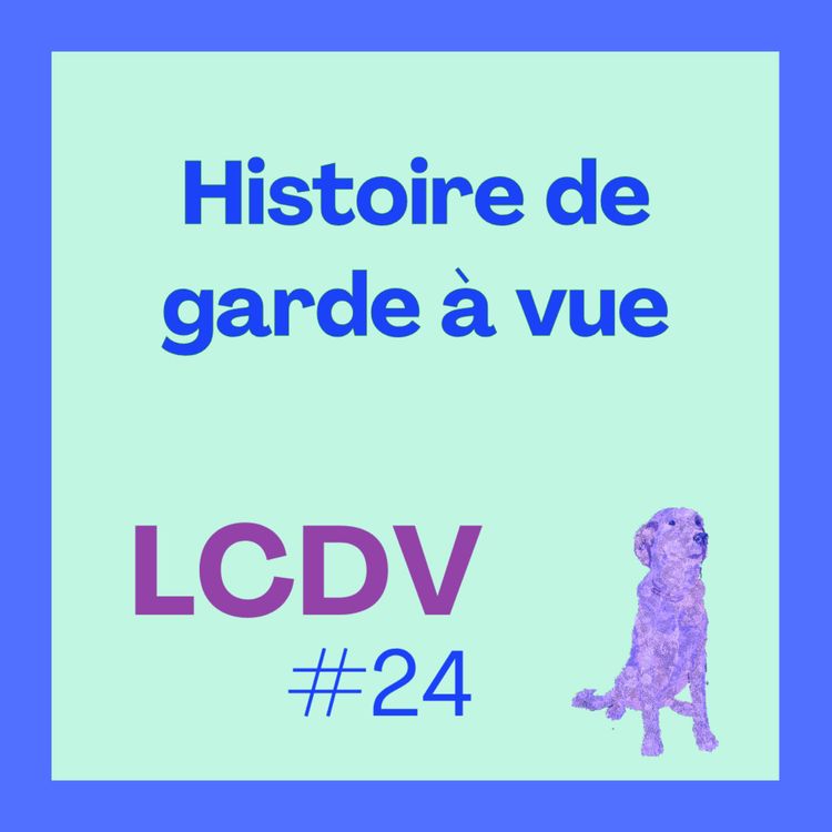 cover art for Histoire de garde à vue