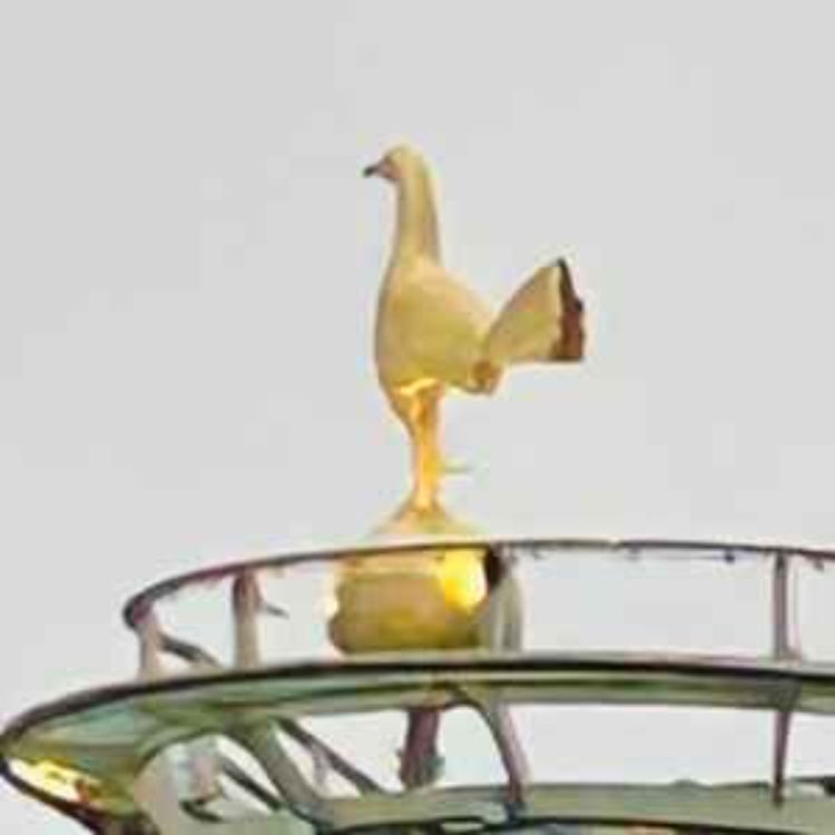 cover art for Lions and Lion Tamers