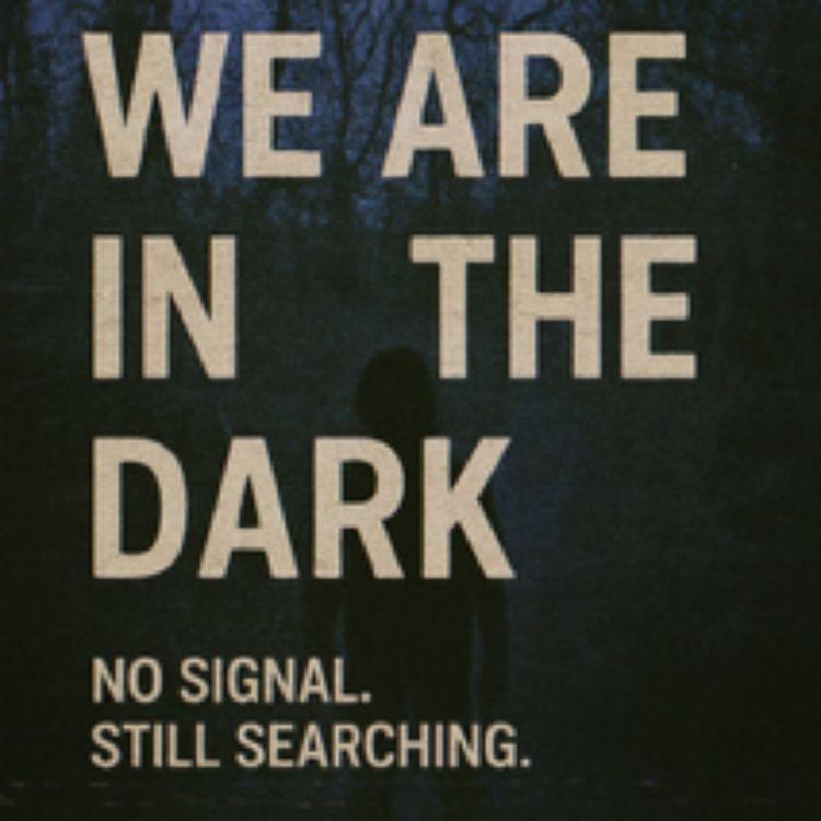 cover art for We Are In The Dark