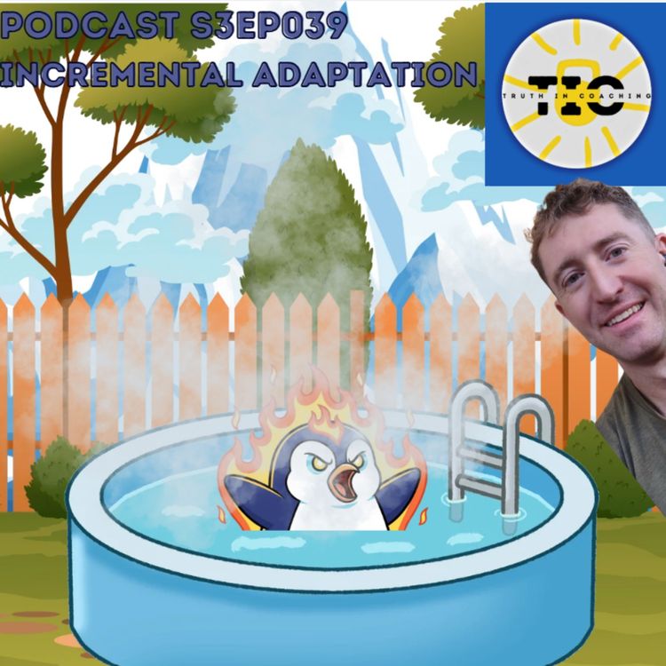 cover art for S3EP039 - Incremental adaptation, placebo recovery, intensity