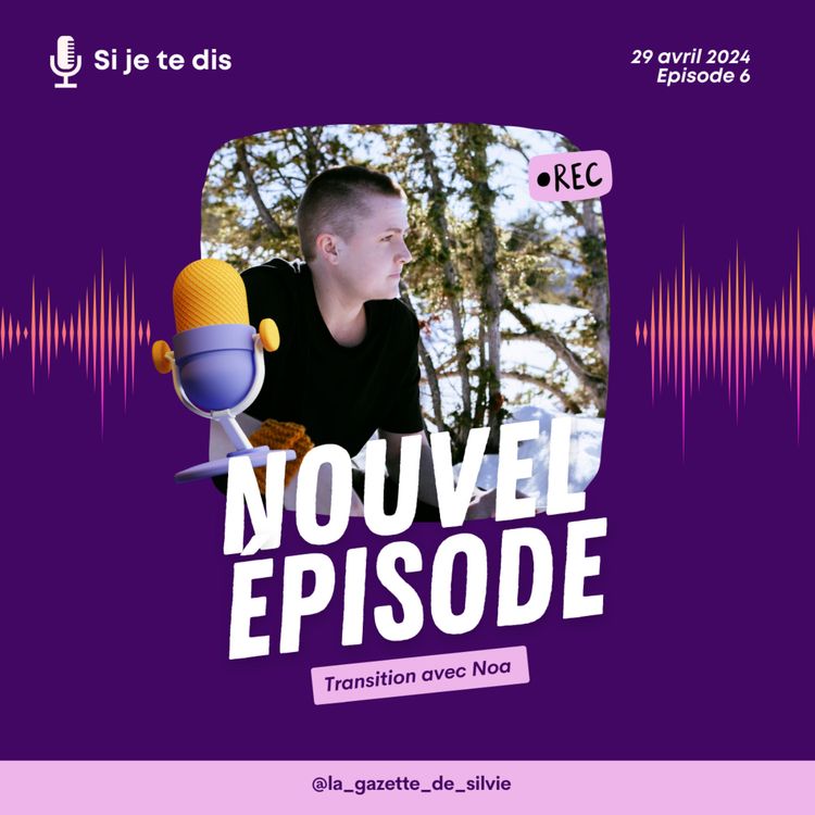 cover art for Transition avec Noa