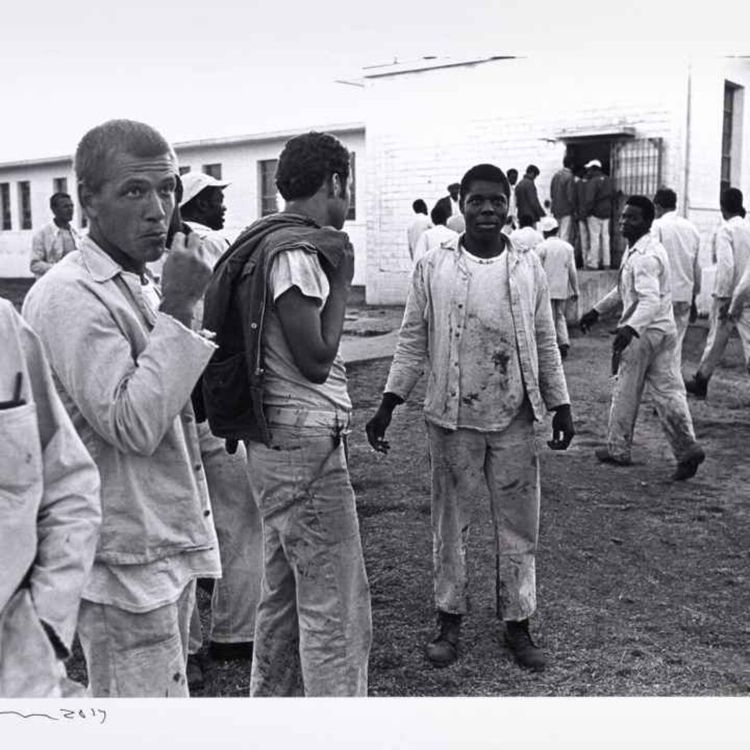 cover art for 3.06 Stolen Blood: The Cummins Prison Scandal