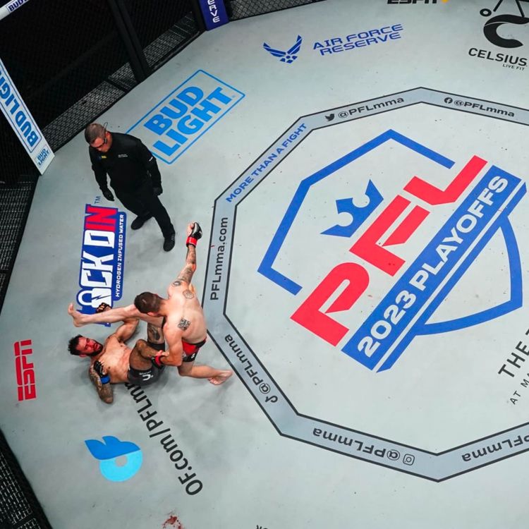 cover art for PFL BUYS BELLATOR: Interview With PFL CEO Peter Murray