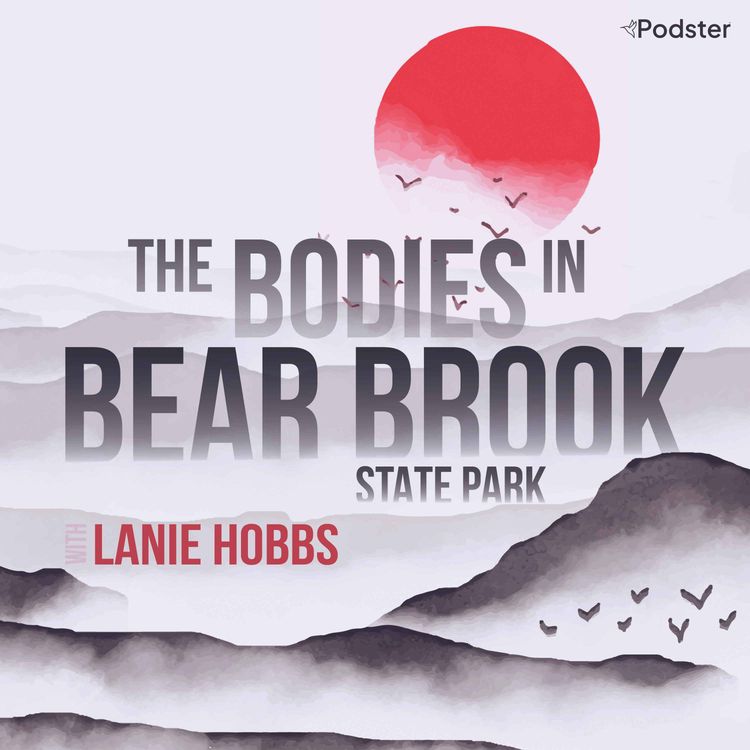 cover art for 2. The Bodies in Bear Brook State Park