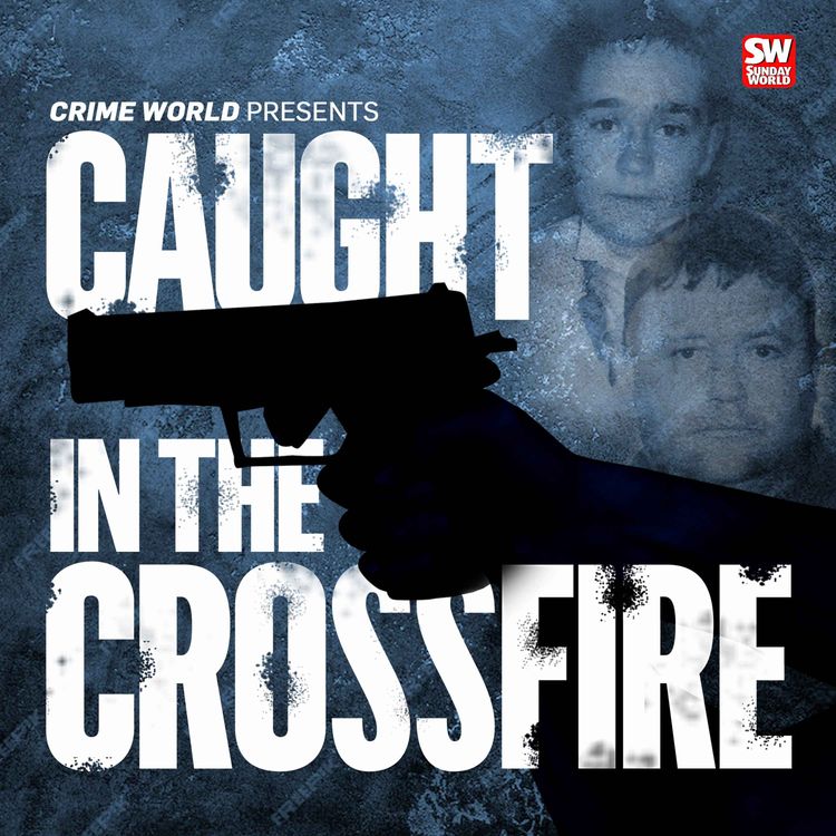 cover art for Caught In The Crossfire: Bonus Episode - Brian Sherry, Former Detective on the case