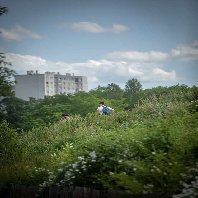 cover art for La Végétale, une coulée verte de 20 km pour rejoindre la campagne depuis Créteil