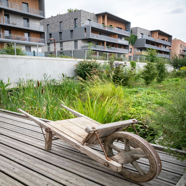 cover art for Balade sur la Petite ceinture avec Fatoumata Koné