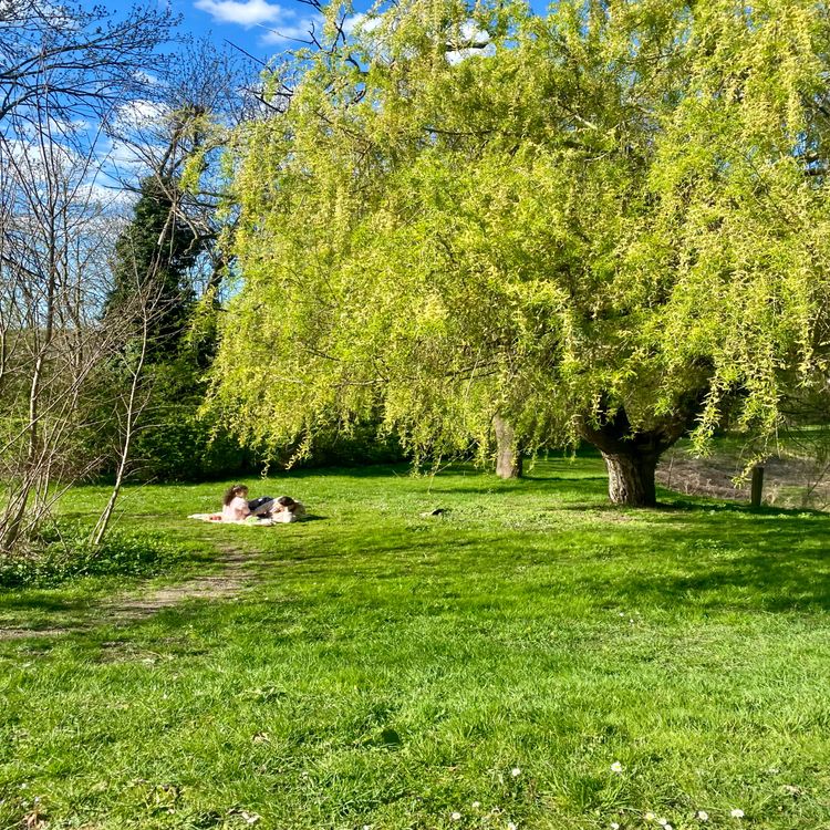 cover art for La Butte Pinson, un espace naturel libéré des déchets et rendu aux habitants et au vivant