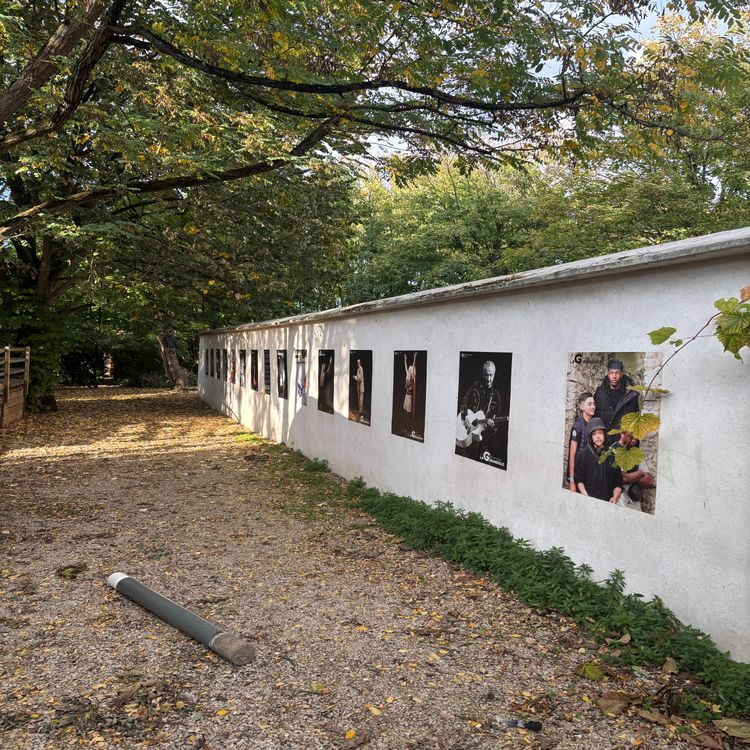 cover art for Du bois de Vincennes aux Murs à pêches, une balade dans les jardins cachés de l’Est parisien