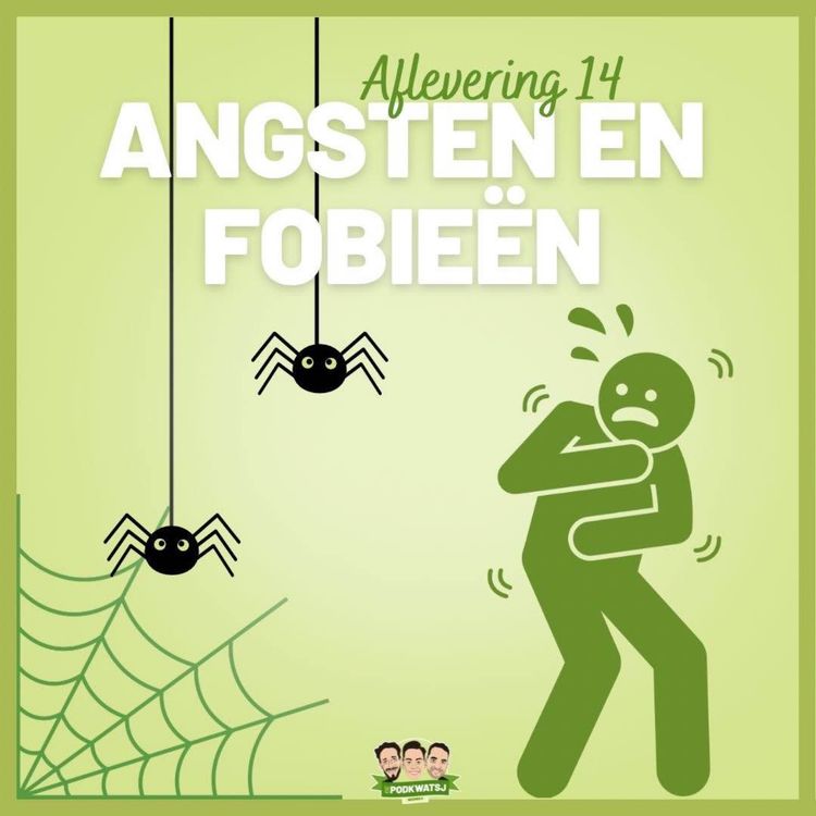 cover art for S3E14: Angsten En Fobieën