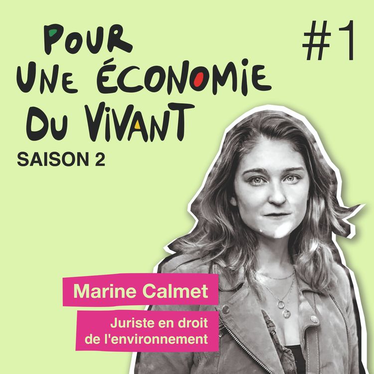 cover art for Episode 1 : Entretien avec Marine Calmet, juriste en droit de l'environnement