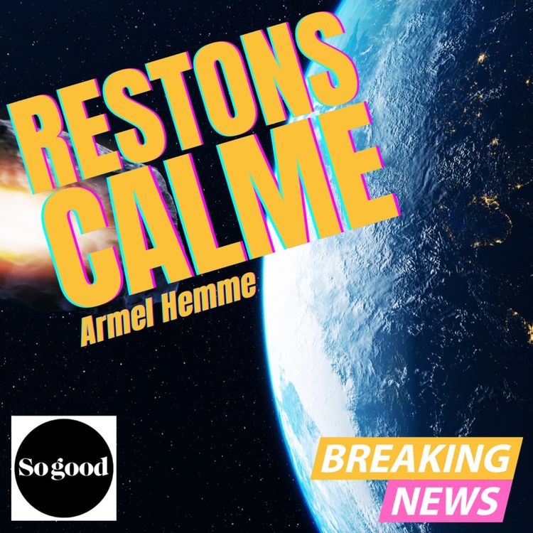 cover art for Consignes de vote : en fait, c'est de l'humour anglais !