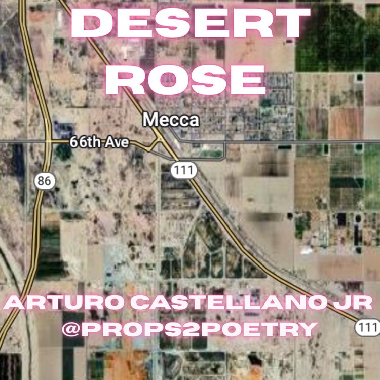 cover art for Desert Rose