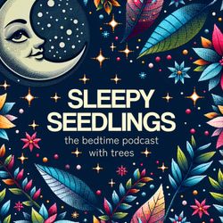 cover art for Sleepy Seedlings: The Bedtime Podcast with Trees