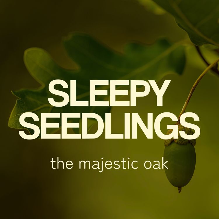 cover art for The Majestic Oak