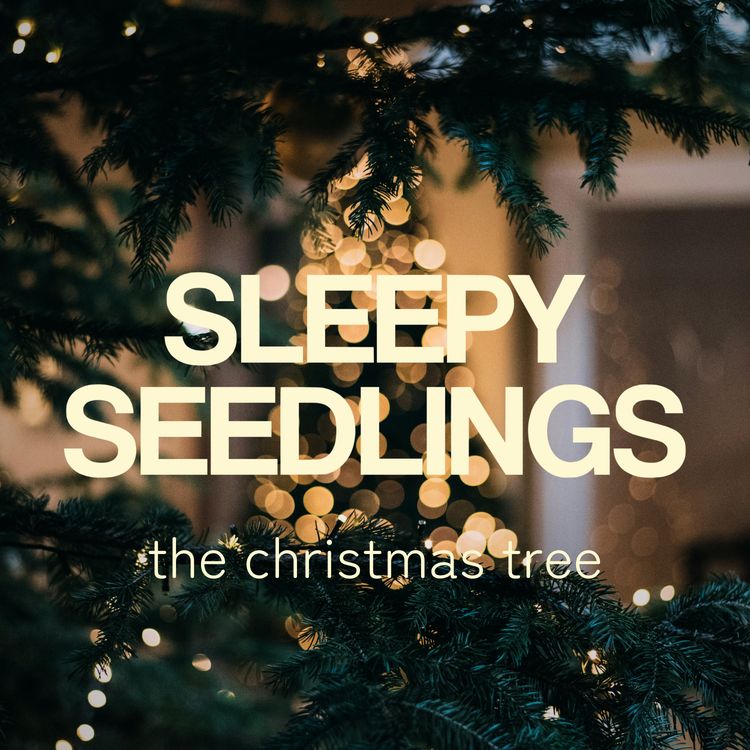 cover art for The Christmas Tree