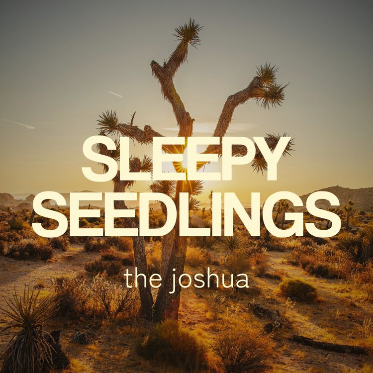 cover art for The Enduring Joshua