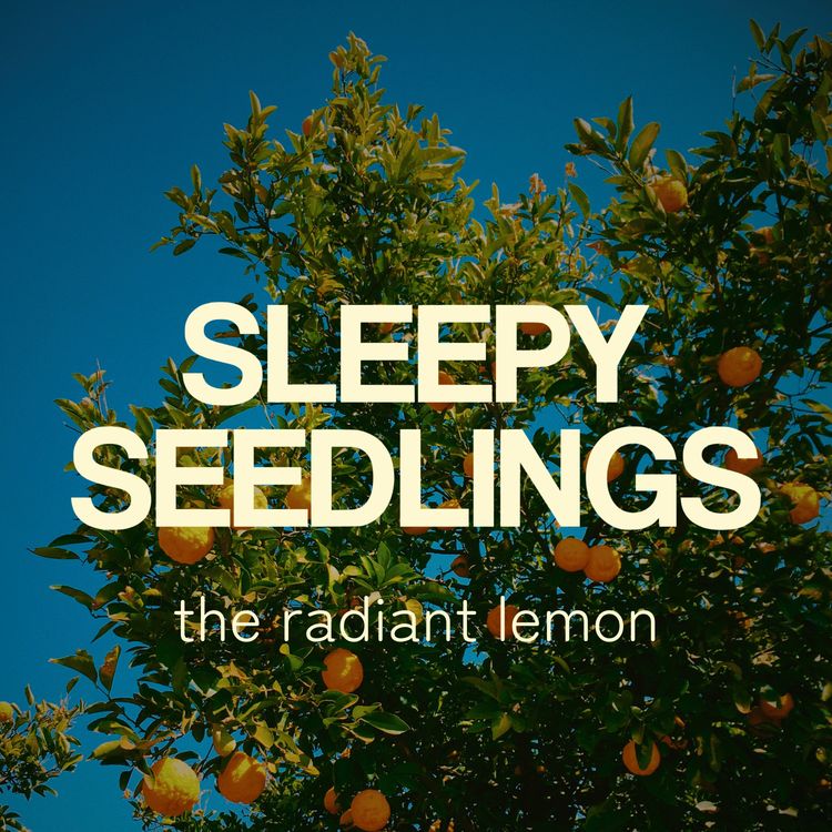 cover art for The Radiant Lemon