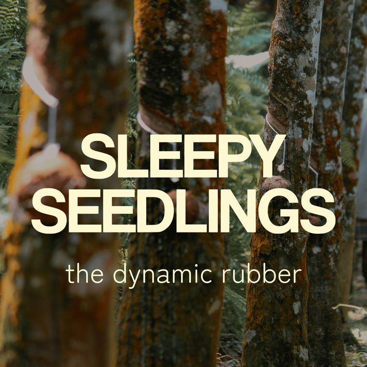 cover art for The Dynamic Rubber