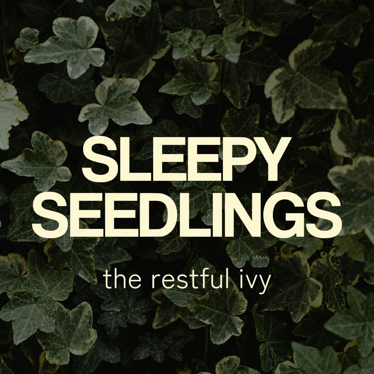 cover art for The Restful Ivy
