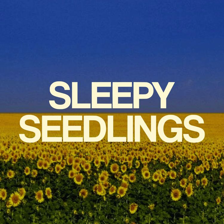 cover art for The Resilient Sunflower