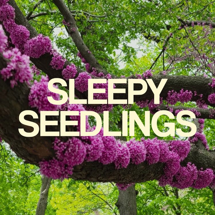 cover art for The Unconventional Judas