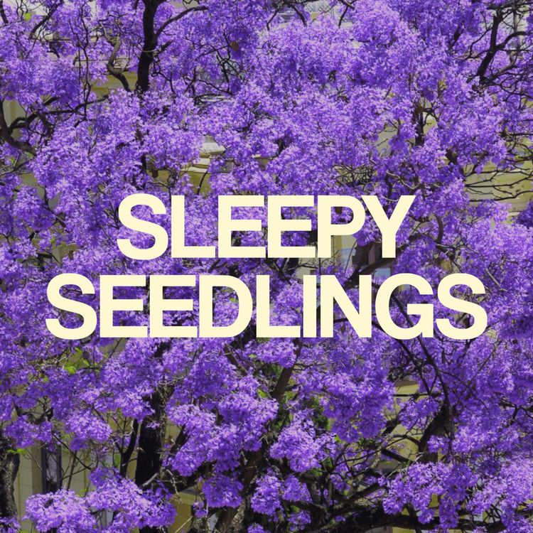 cover art for The Regal Foxglove