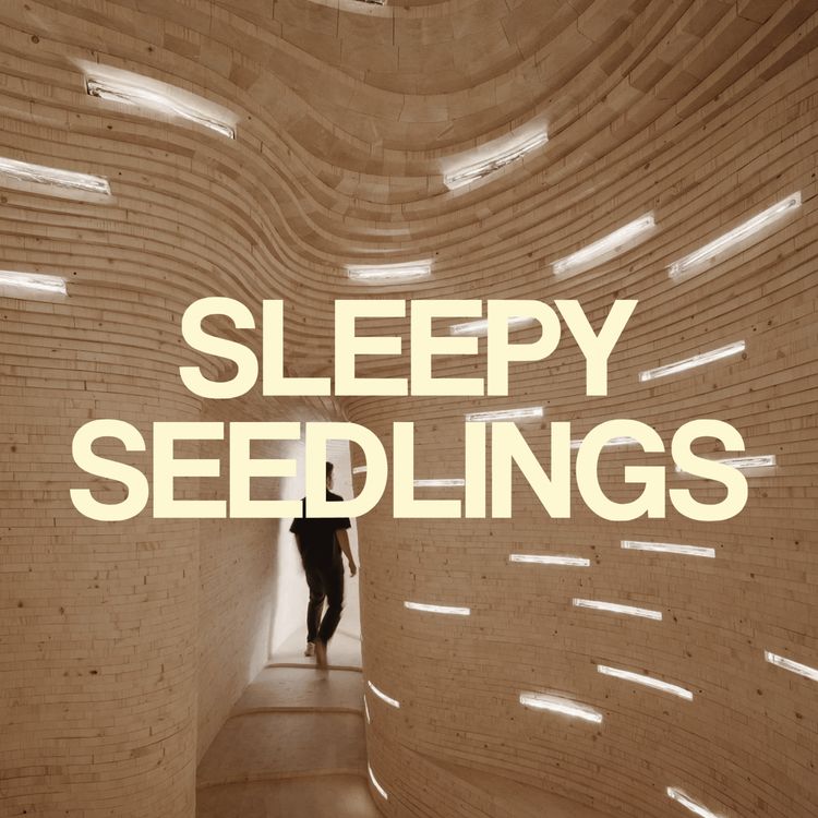 cover art for A Forest for the Future