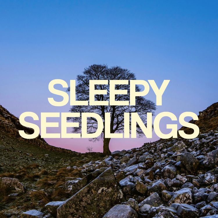 cover art for A Gap, A Tree, A Legacy