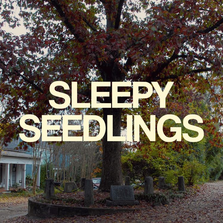 cover art for The Tree That Owns Itself