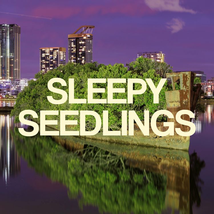 cover art for The Forest That Floated Away