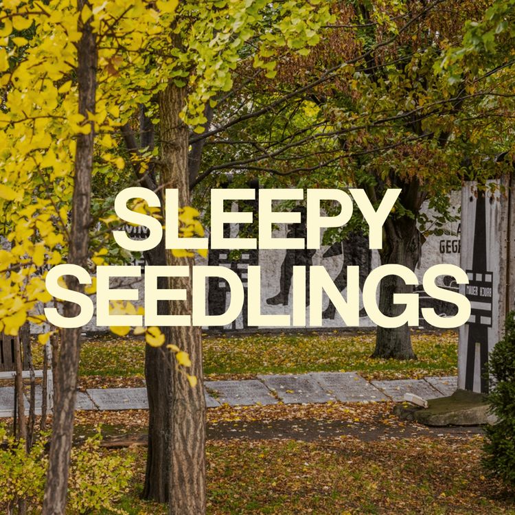 cover art for The Trees That Remember: A Memorial in Berlin