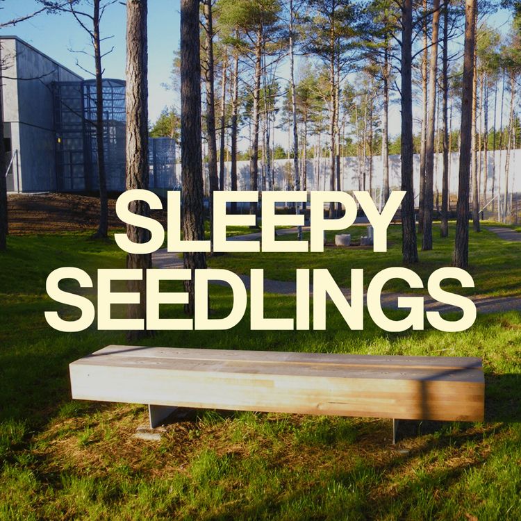 cover art for What Happens When You Plant a Prison in a Forest