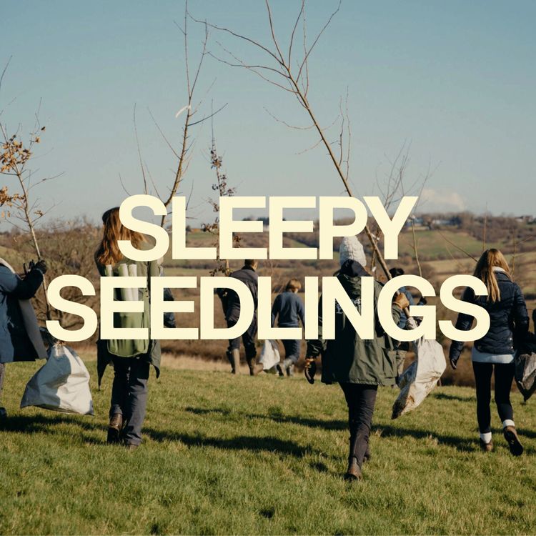 cover art for How to Grow a Forest