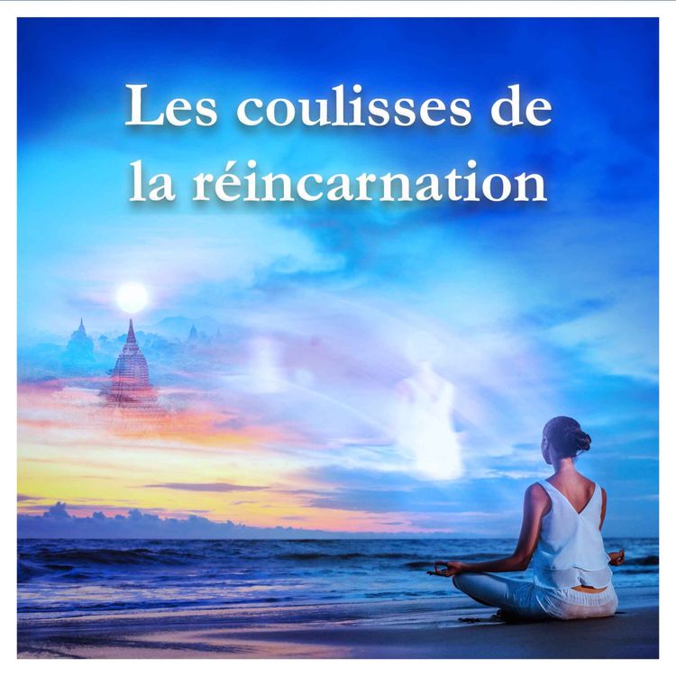 cover art for Les coulisses de la réincarnation