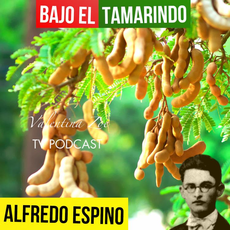 cover art for BAJO EL TAMARINDO ALFREDO ESPINO 👨‍🌾🫒 | Jícaras Tristes Auras del Bohío 🍯 | Alfredo Espino Poemas