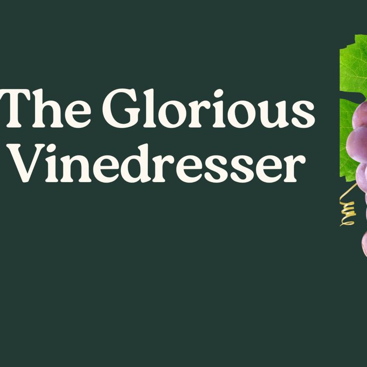 cover art for The Glorious Vinedresser