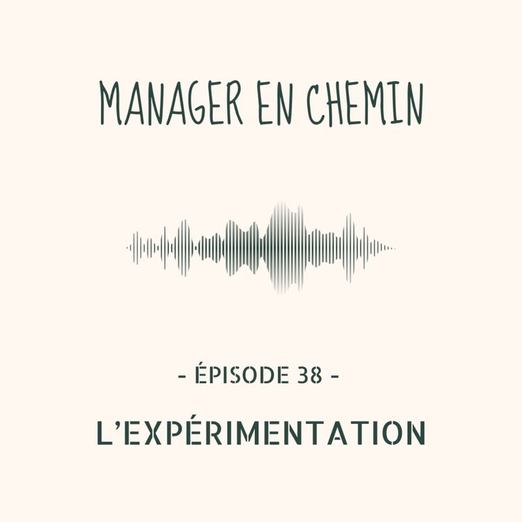 cover art for L'expérimentation