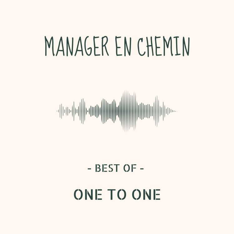 cover art for Le one to one : un outil simple et performant
