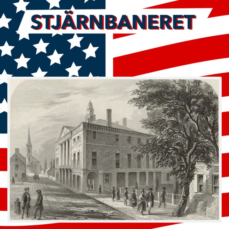 cover art for 224 Den krokiga vägen mot en Bill of Rights del 3