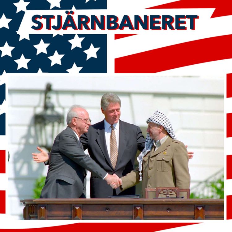 cover art for 249 Översikt del 110: Kriser i Somalia, Haiti och Bosnien