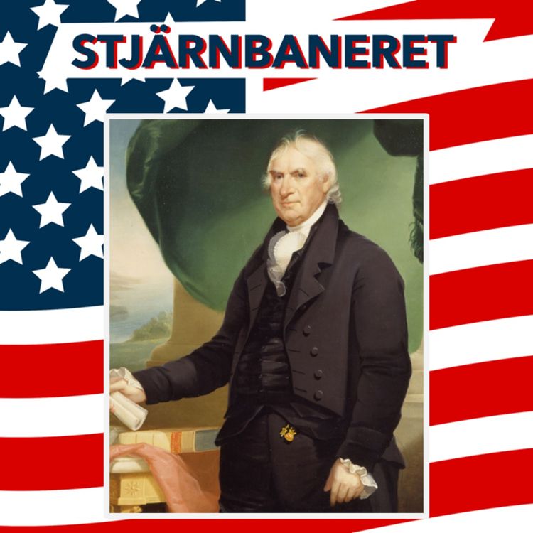 cover art for 253 Vicepresidenter: Det 12:e tillägget och George Clinton