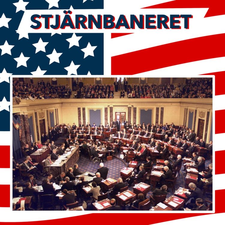 cover art for 260 Översikt del 116: Riksrätt och Clintons sista år