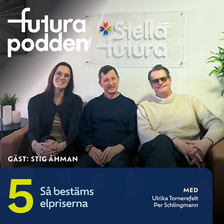 cover art for #5 - Så bestäms elpriserna.