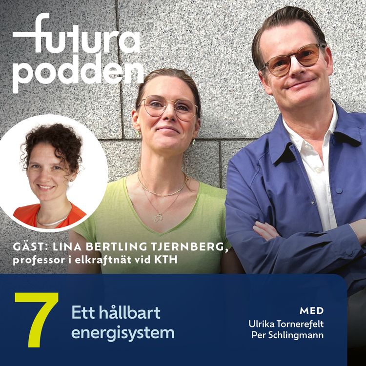 cover art for #7 - Ett hållbart energisystem