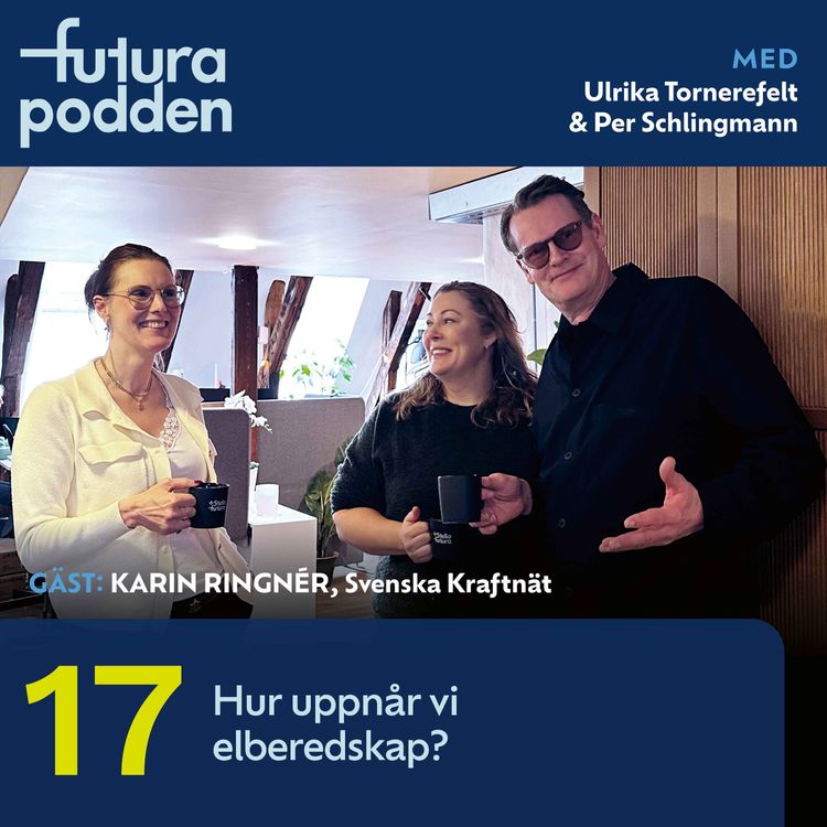 cover art for #17 - Hur uppnår vi elberedskap?