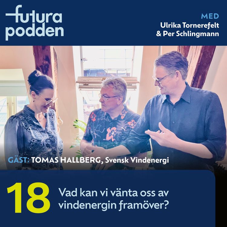 cover art for #18 - Vad kan vi vänta oss av vindenergin framöver?