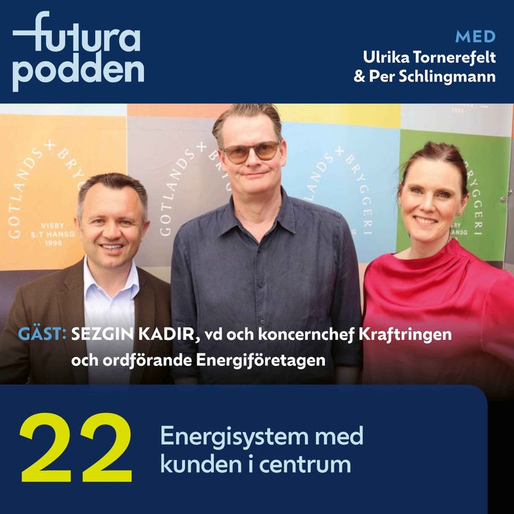 cover art for #22 - Energisystem med kunden i centrum